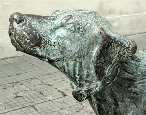 fido fidelity.